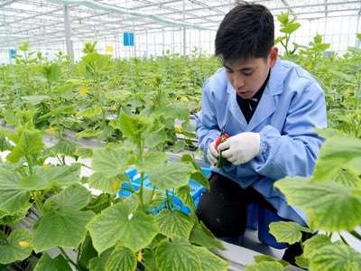 农业生产实现物联网化有什么好处？