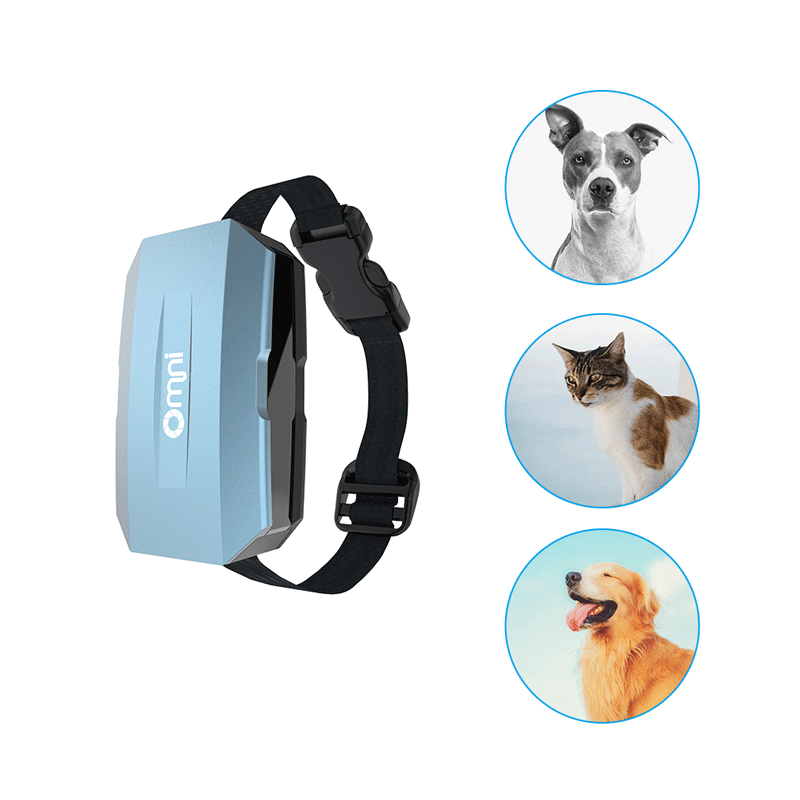 熊猫体育宠物定位器可以解决哪些问题？